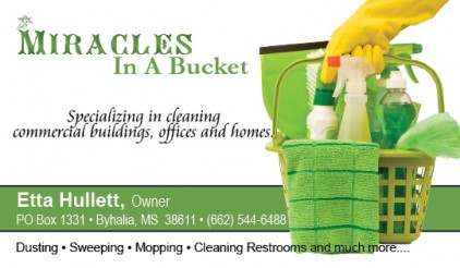 Cleaning Service